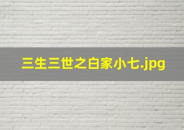 三生三世之白家小七