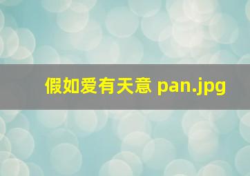 假如爱有天意 pan