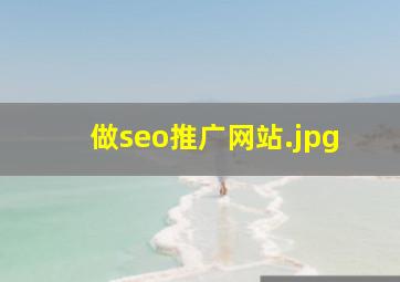 做seo推广网站