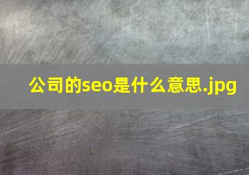 公司的seo是什么意思