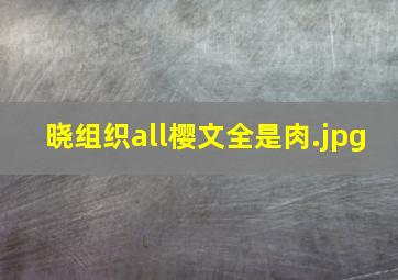 晓组织all樱文全是肉