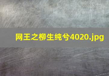 网王之柳生纯兮4020