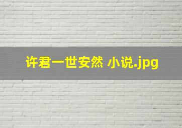 许君一世安然 小说