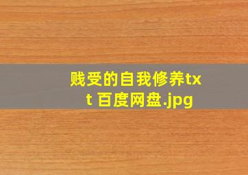 贱受的自我修养txt 百度网盘
