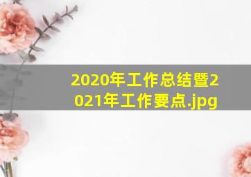 2020年工作总结暨2021年工作要点