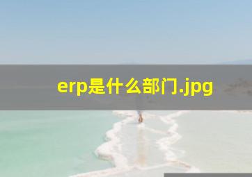 erp是什么部门