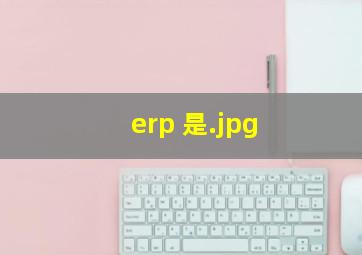 erp 是