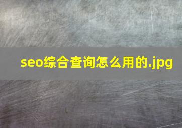 seo综合查询怎么用的